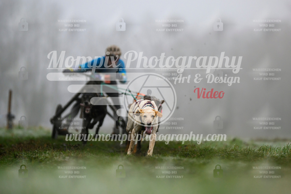 MompixPhotography_CDF2023_FFST_Di_Kart-38 | PayLife