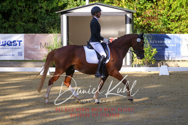 DKP41104 | Turniersportfotografie; Pferdefotografie; Dressurfotografie