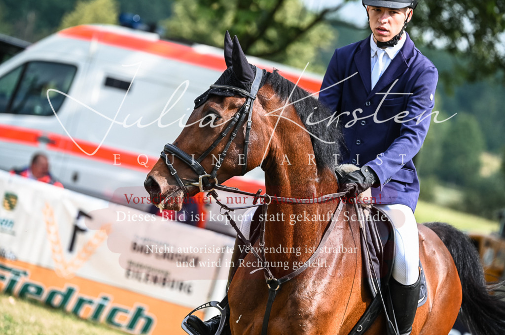 DSC_8383 | Pferde- und Turnierfotografie in Westsachsen. Pferdeportraits, Auftragszeichnungen und intuitive Kunst.
