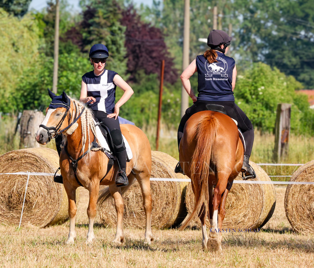 1B3A8010 | Reitsport Reiten