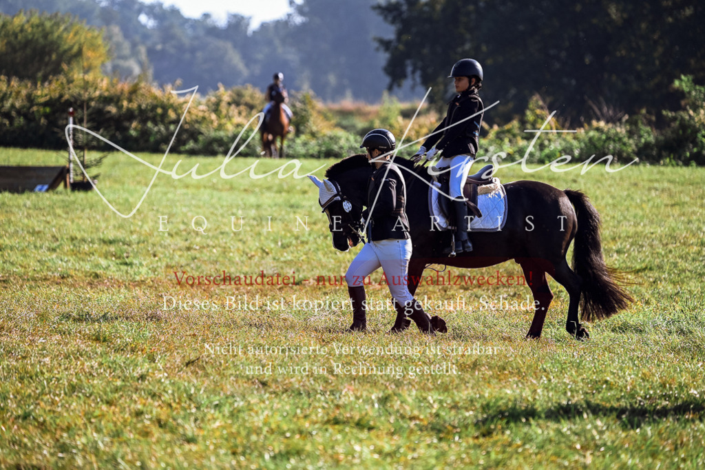 DSC_0383 | Pferde- und Turnierfotografie in Westsachsen. Pferdeportraits, Auftragszeichnungen und intuitive Kunst.
