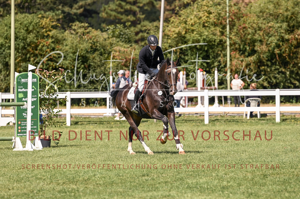 Schugtsche-Düren.2024-09.Springprf.L-11 | Schugtsche Fotografie - Realisiert mit Pictrs.com