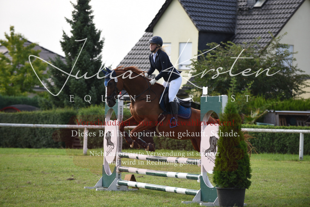 DSC_8839 | Pferde- und Turnierfotografie in Westsachsen. Pferdeportraits, Auftragszeichnungen und intuitive Kunst.