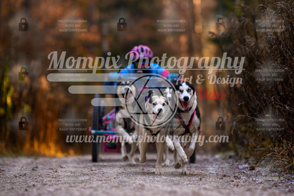 MompixPhotography_DM_AKDM_SO_2025_Wagen-55 | PayLife