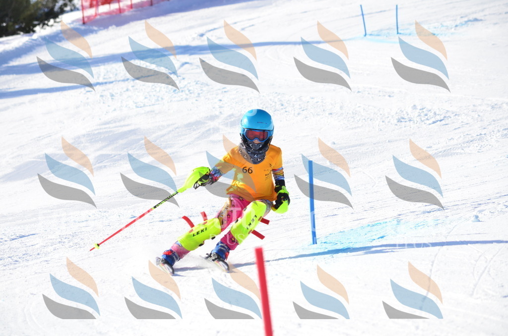 C5834 | holidayphoto