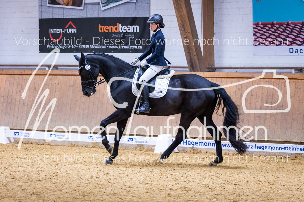 Sth-A-Dre-2St-123 | MomenTaufnahmen Pferdesportfotos