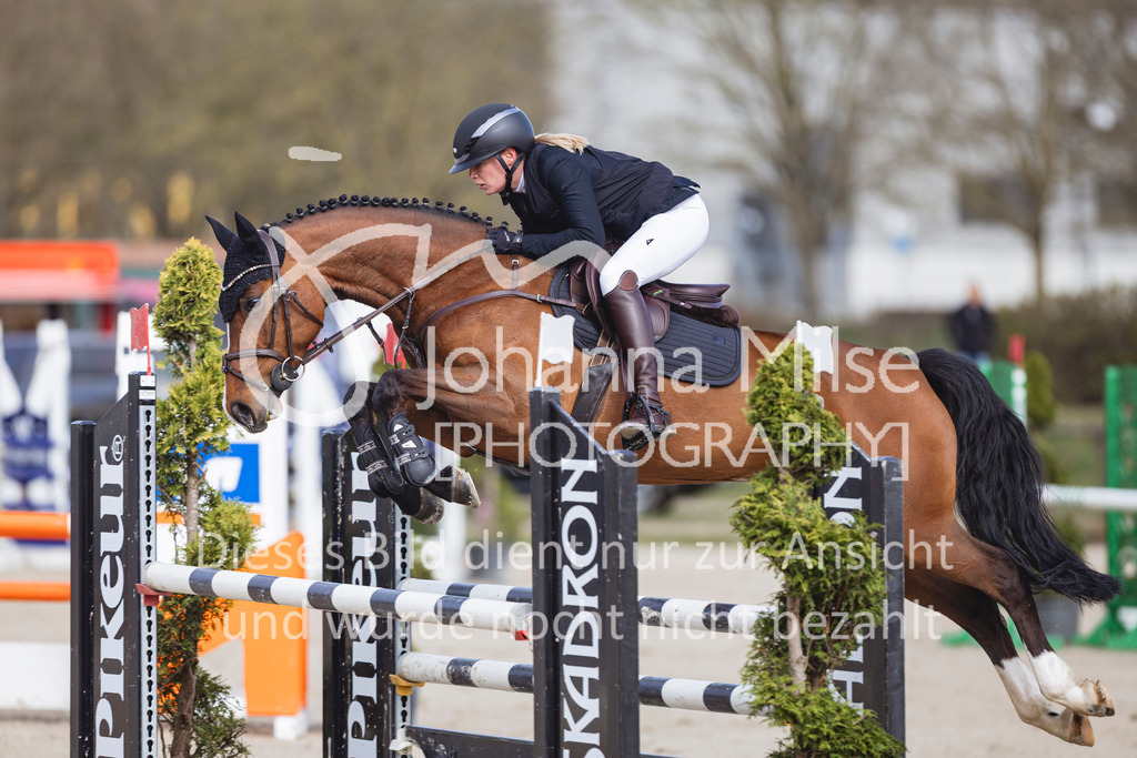 260404_Fruehlingsfest_SprPf-L-216 | Deine schönsten Turniermomente als professionelle Fotos! Entdecke hochwertige Pferdesport-Fotografie im Online-Shop. Jetzt Fotos finden & bestellen!