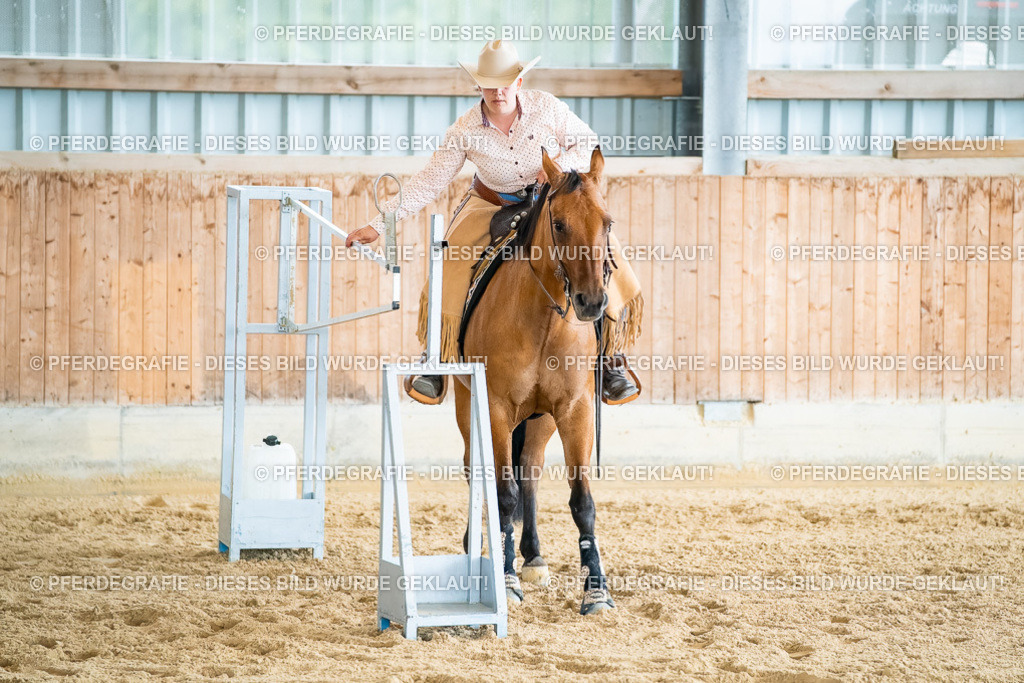 DSC07279 | Pferdegrafie