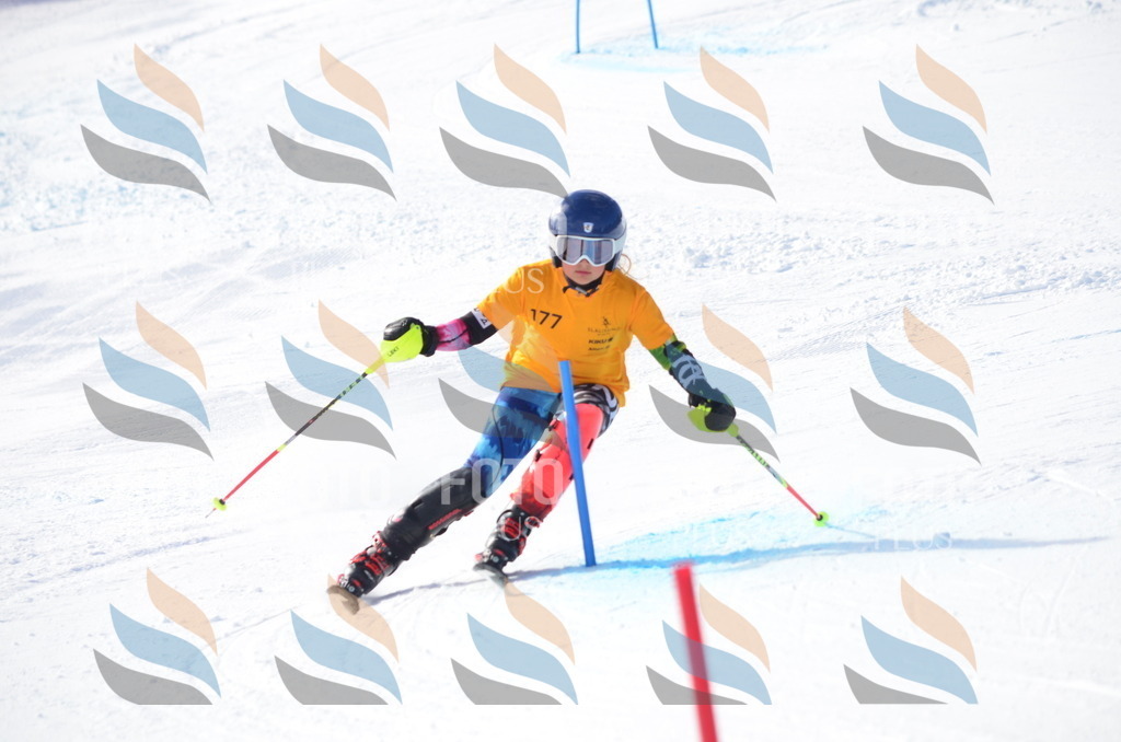 C7956 | holidayphoto