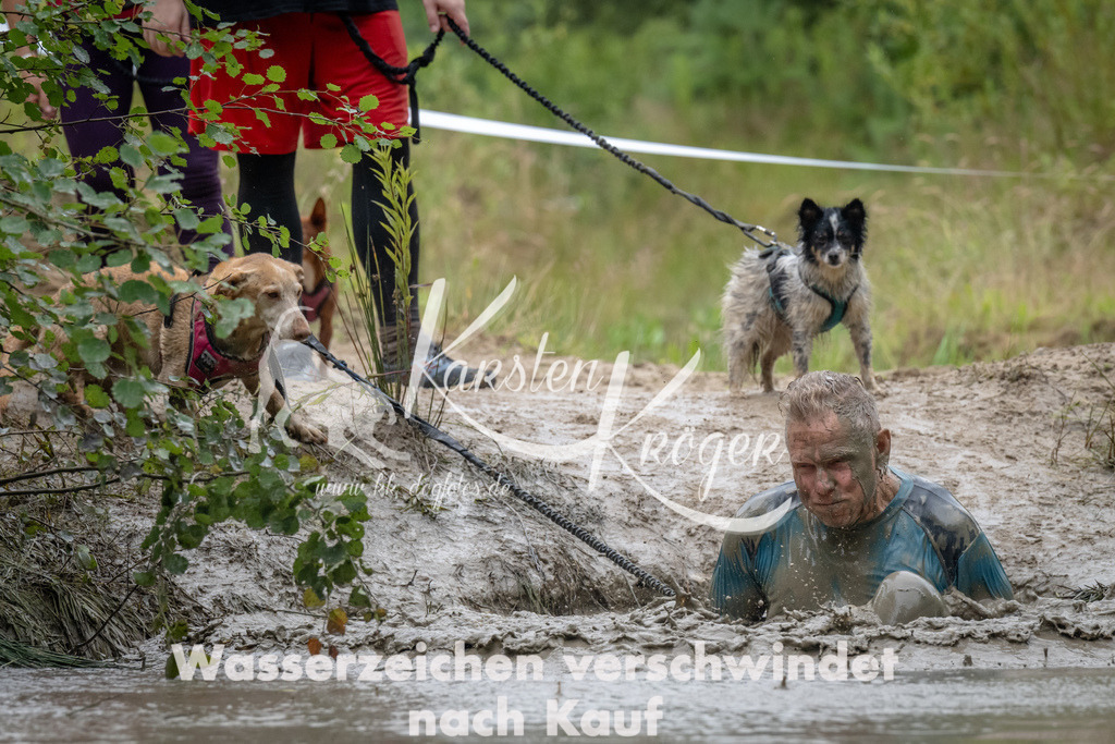 1343_ZZ92026 | kk-dogfotos