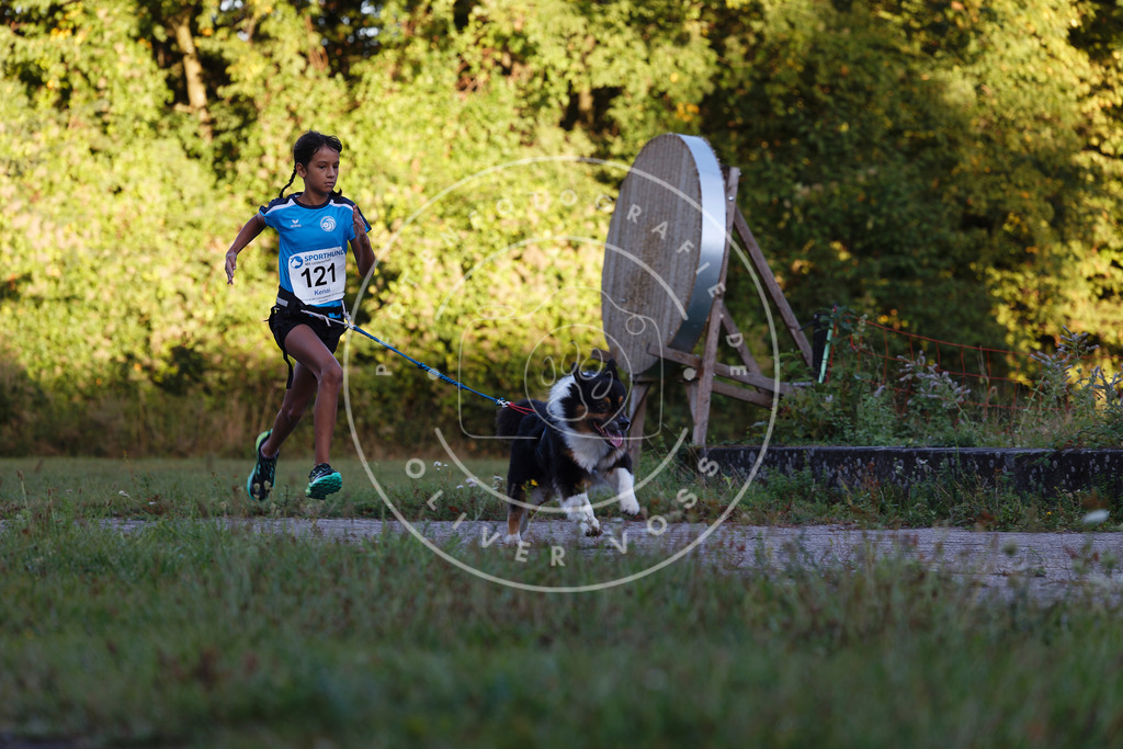 0L8A4350 | Hundefotografie, Tierfotograf, Pfotenfotografie, Fotoshooting Hund, Hunde Portrait, Hundesport, Hundeportraits, Heideshooting, Hunde, Sportfotograf, Hundefotograf, Turnierhundsport, THS,  - Realisiert mit Pictrs.com