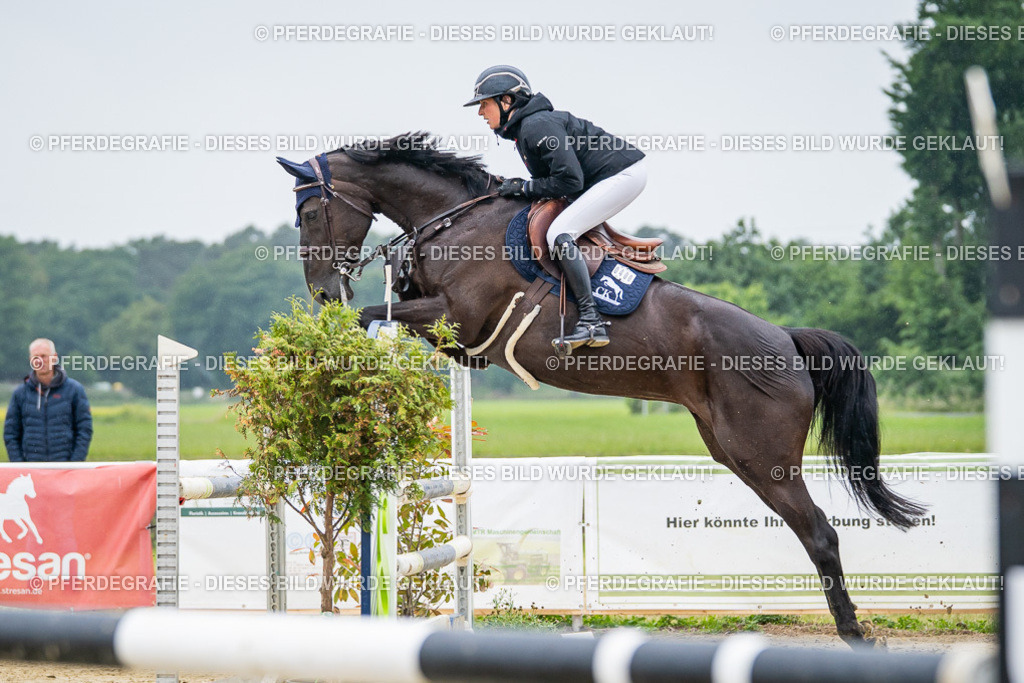 DSC01367 | Pferdegrafie