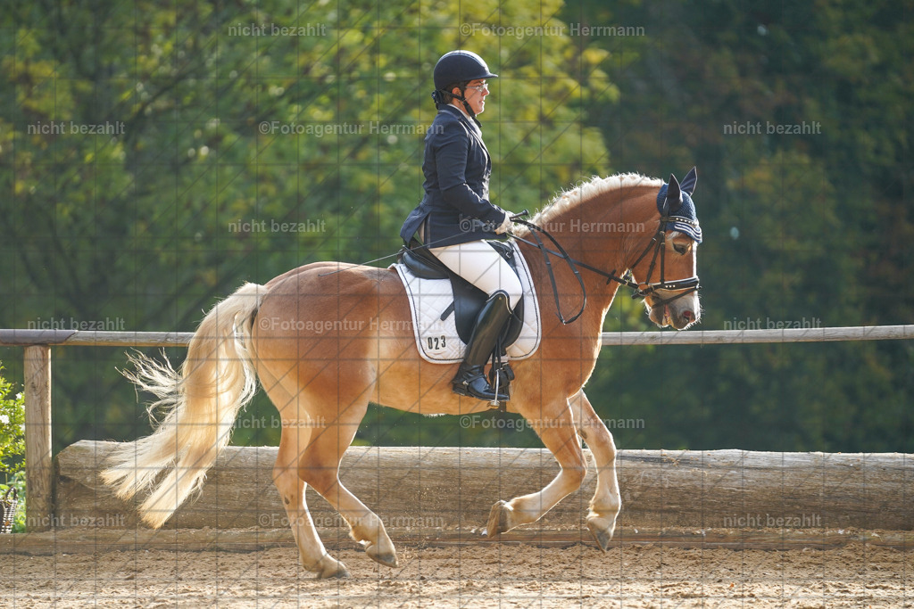 20221008-FAH00818 | Diessen am Ammersee, 2022, Dressur- und Springturnier, Reitsportbilder, Turnierfotografen Bayern, Pferdefotografen, Fotoagentur Herrmann, Turnierbilder