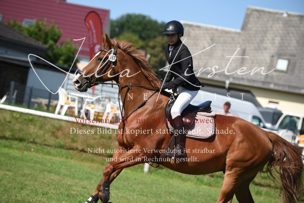 DSC_9184 | Pferde- und Turnierfotografie in Westsachsen. Pferdeportraits, Auftragszeichnungen und intuitive Kunst.