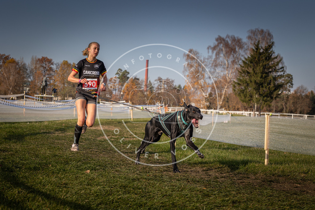 CaniXpix_0L8A9924 | Hundefotografie, Tierfotograf, Pfotenfotografie, Fotoshooting Hund, Hunde Portrait, Hundesport, Hundeportraits, Heideshooting, Hunde, Sportfotograf, Hundefotograf, Turnierhundsport, THS,  - Realisiert mit Pictrs.com