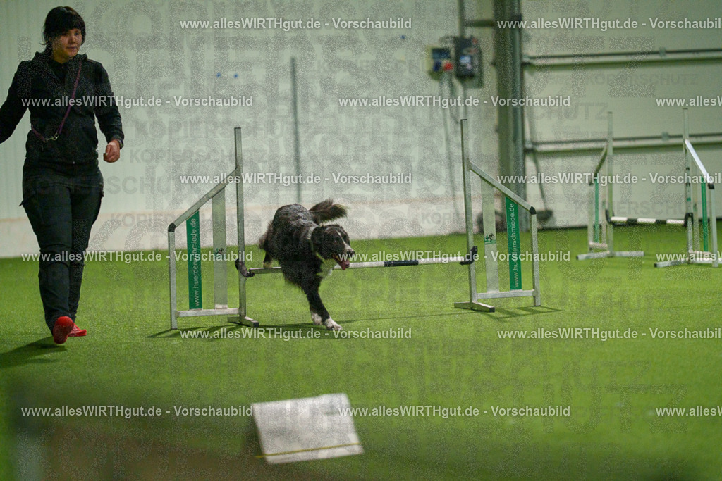 7R507321 | Professionelle Tierfotografie in Mönchengladbach von Daniel Wirth (allesWIRTHgut). Liebevolle & natürliche Bilder von Hunden & Katzen für unvergessliche Erinnerungen.