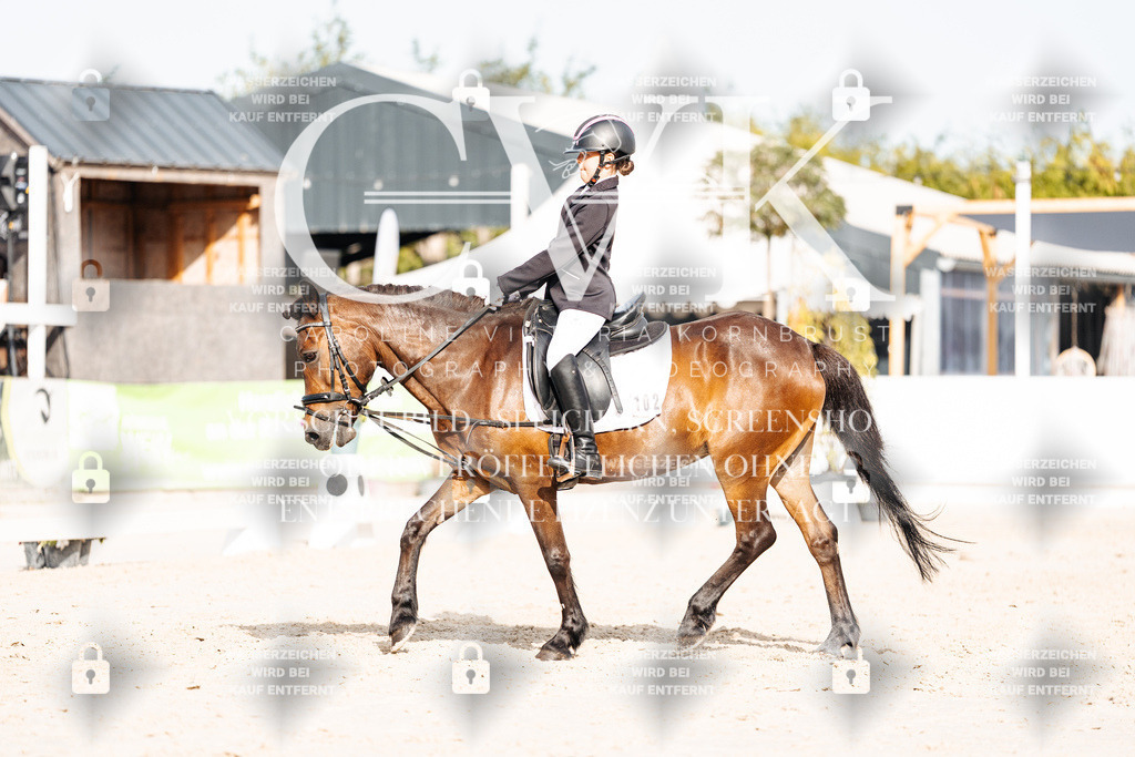 CK904840 | Turnierfotografie Pferdefotografie Trier Rheinland-Pfalz Pferdesport Reitsport Tierfotografie Sportfotografie Pferdevideo Pferdevideografie Equestrianvideography equestrianphotography  - Realisiert mit Pictrs.com