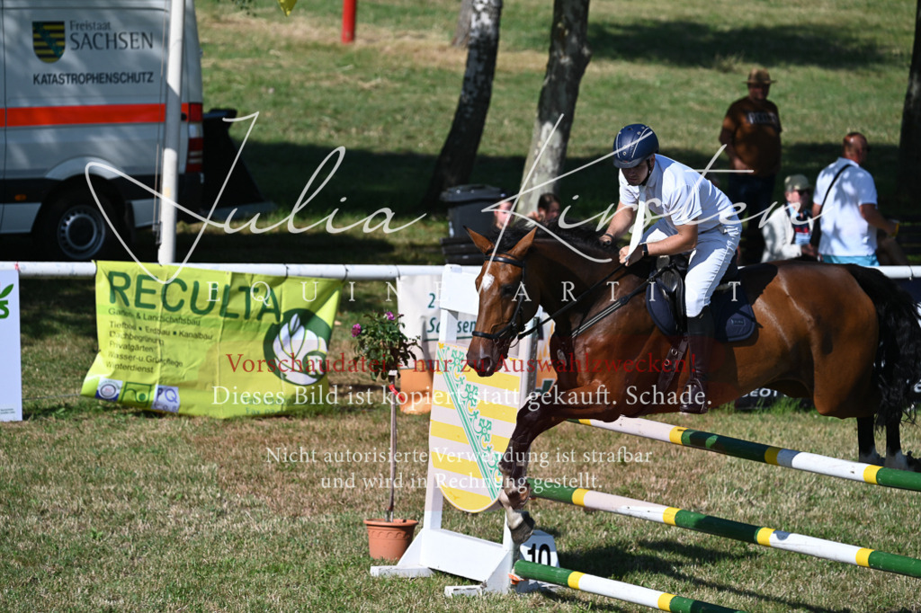 DSC_2186 | Pferde- und Turnierfotografie in Westsachsen. Pferdeportraits, Auftragszeichnungen und intuitive Kunst.
