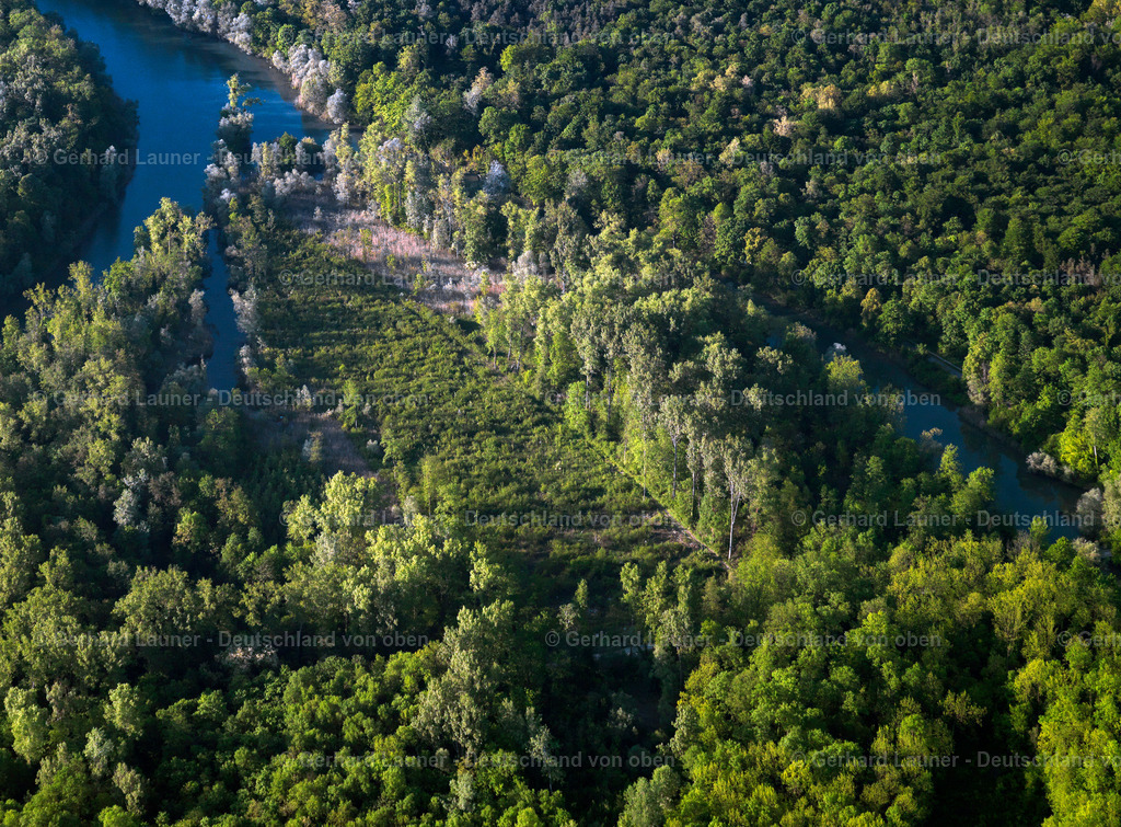 3096091 | Rheinauen bei Weisweil