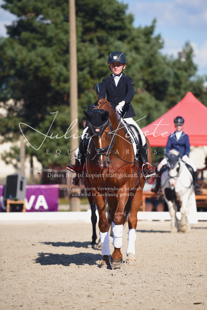 DSC_0121 | Pferde- und Turnierfotografie in Westsachsen. Pferdeportraits, Auftragszeichnungen und intuitive Kunst.