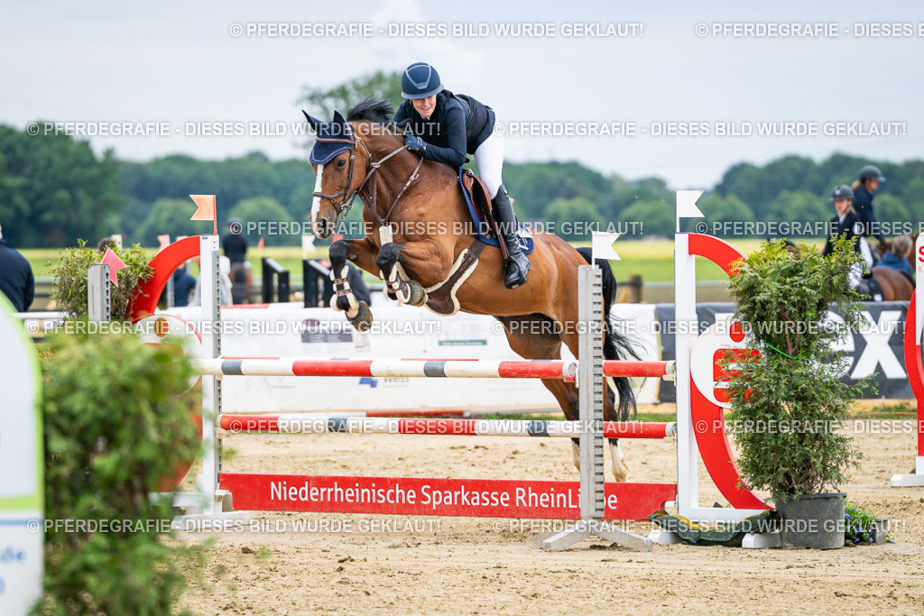 DSC06176 | Pferdegrafie