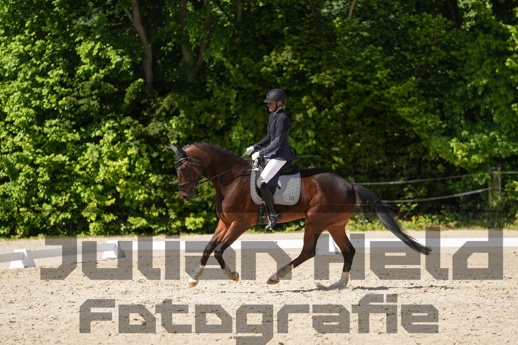 DSC00535 | Julian Held Fotografie - Realisiert mit Pictrs.com