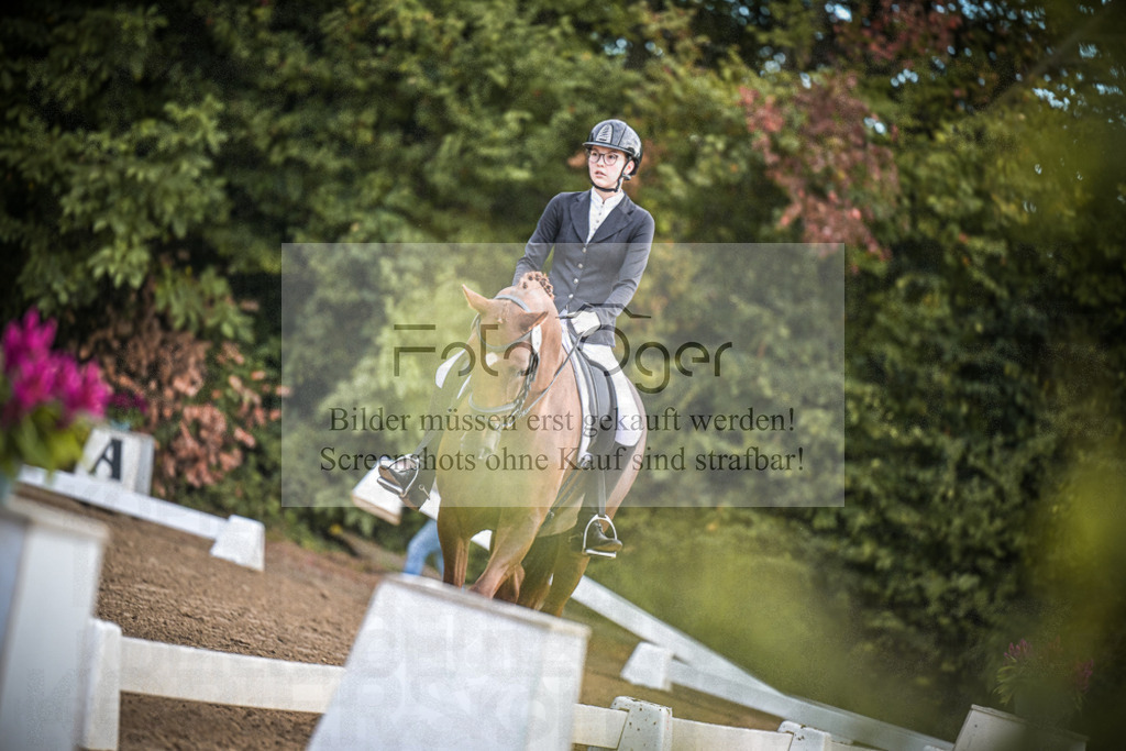 DOS_0112 | Entdecke hochwertige Reitturnierfotos von Foto Oger. Professionell, emotional und authentisch – jetzt Lieblingsmomente im Shop bestellen.Deutschlandweite Turnierfotografie. - Realisiert mit Pictrs.com