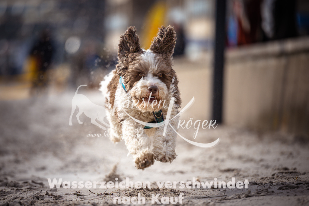 1324_ZZ99001 | kk-dogfotos