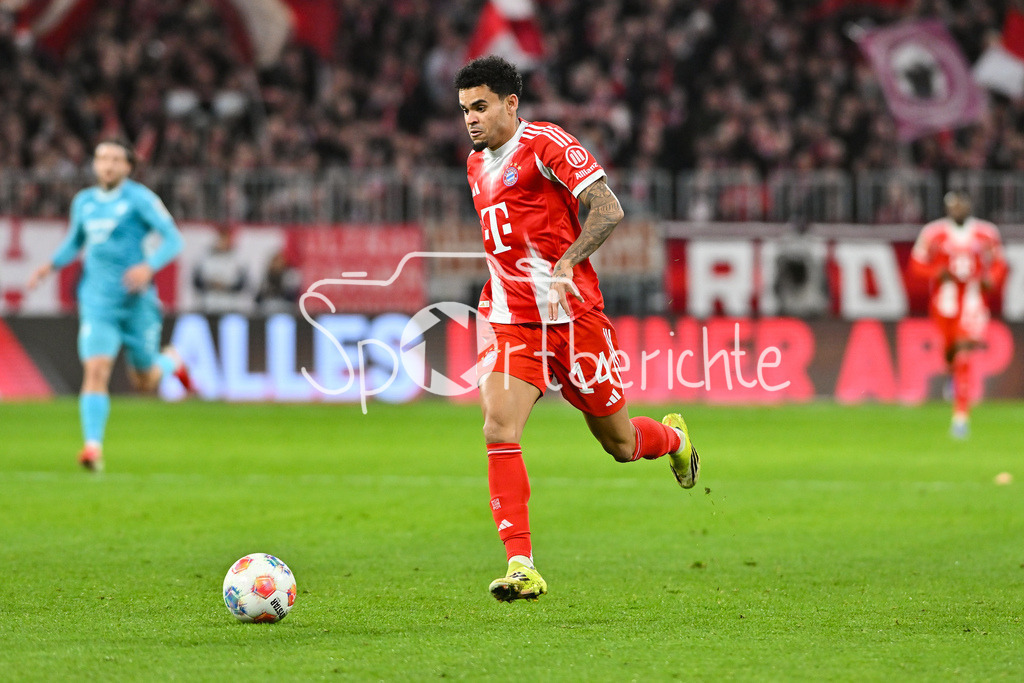 FC Bayern München - TSG 1899 Hoffenheim | MUNICH, GERMANY - 08. FEBRUARY: im Bild Luis DIAZ (FC Bayern Munich 14) / Einzelfoto / Freisteller während dem Bundesligamatch zwischen dem FC Bayern München und der TSG 1899 Hoffenheim am 21. Spieltag in der Allianz Arena / DFL REGULATIONS PROHIBIT ANY USE OF PHOTOGRAPHS AS IMAGE SEQUENCES AND/OR QUASI-VIDEO