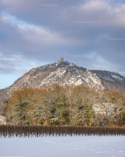 DSC_3786 | Bilder von Frank Landsberg / Siebengebirge in Bildern - Realisiert mit Pictrs.com