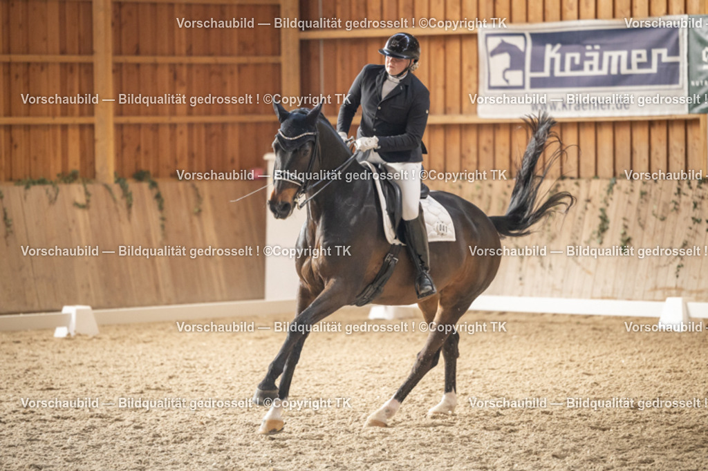 _D5A6334 | Emotionale Pferde- & People-Fotografie rund um Heidelberg, Leimen & Umgebung. Natürliche Fotos von Pferd, Mensch & Familie. Jetzt Termin sichern!