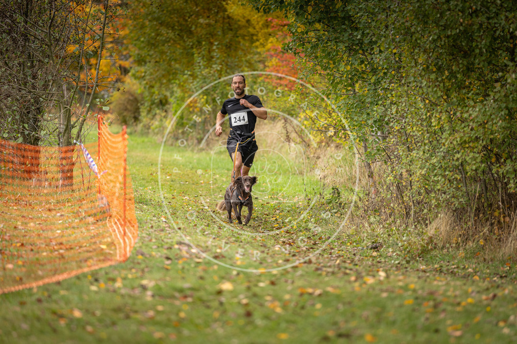 Pfotenfotografie_DV3A4245 | Hundefotografie, Tierfotograf, Pfotenfotografie, Fotoshooting Hund, Hunde Portrait, Hundesport, Hundeportraits, Heideshooting, Hunde, Sportfotograf, Hundefotograf, Turnierhundsport, THS,  - Realisiert mit Pictrs.com
