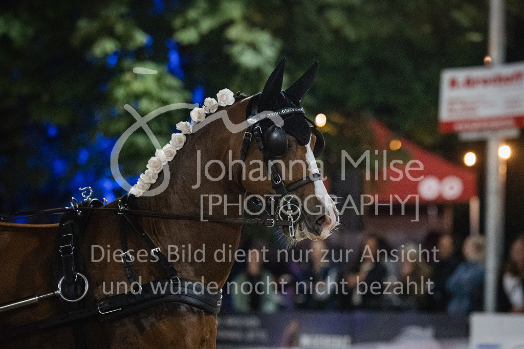 230827_Delbrueck_Kostuem-782 | Deine schönsten Turniermomente als professionelle Fotos! Entdecke hochwertige Pferdesport-Fotografie im Online-Shop. Jetzt Fotos finden & bestellen!