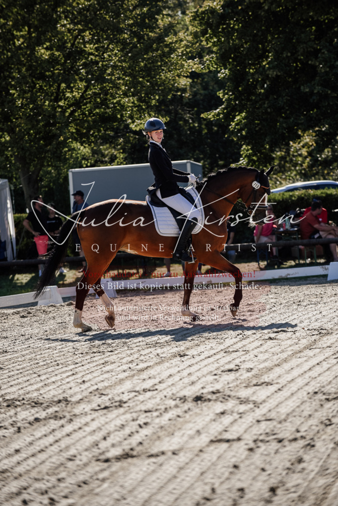 DSC_0329 | Pferde- und Turnierfotografie in Westsachsen. Pferdeportraits, Auftragszeichnungen und intuitive Kunst.