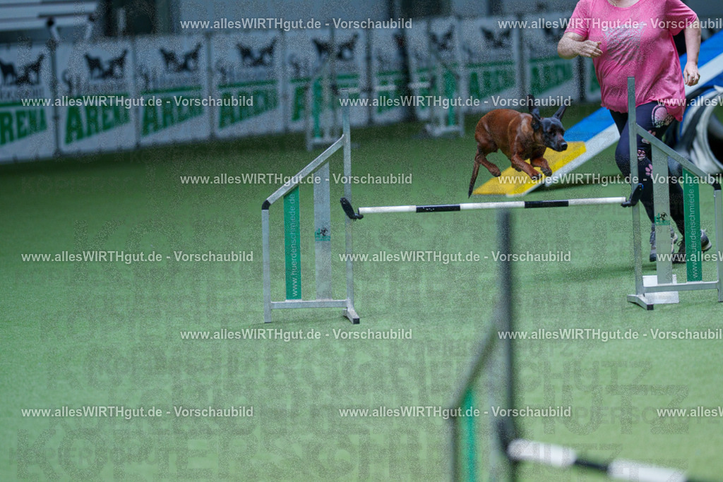 @allesWIRTHgut_Tierfotografie - www.allesWIRTHgut.de - 2604251235-7R502195 | Professionelle Tierfotografie in Mönchengladbach von Daniel Wirth (allesWIRTHgut). Liebevolle & natürliche Bilder von Hunden & Katzen für unvergessliche Erinnerungen.