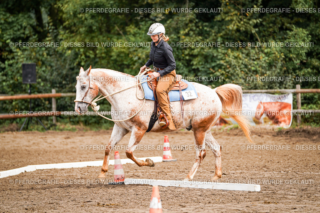 DSC04154 | Pferdegrafie