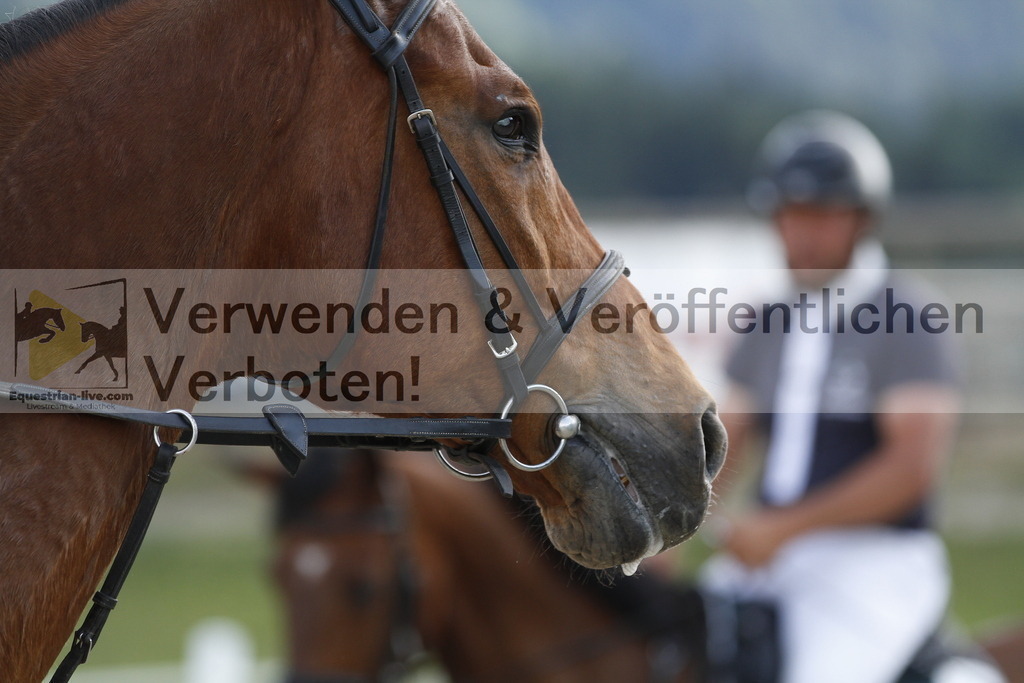 _MG_5327 | equestrian-live-com