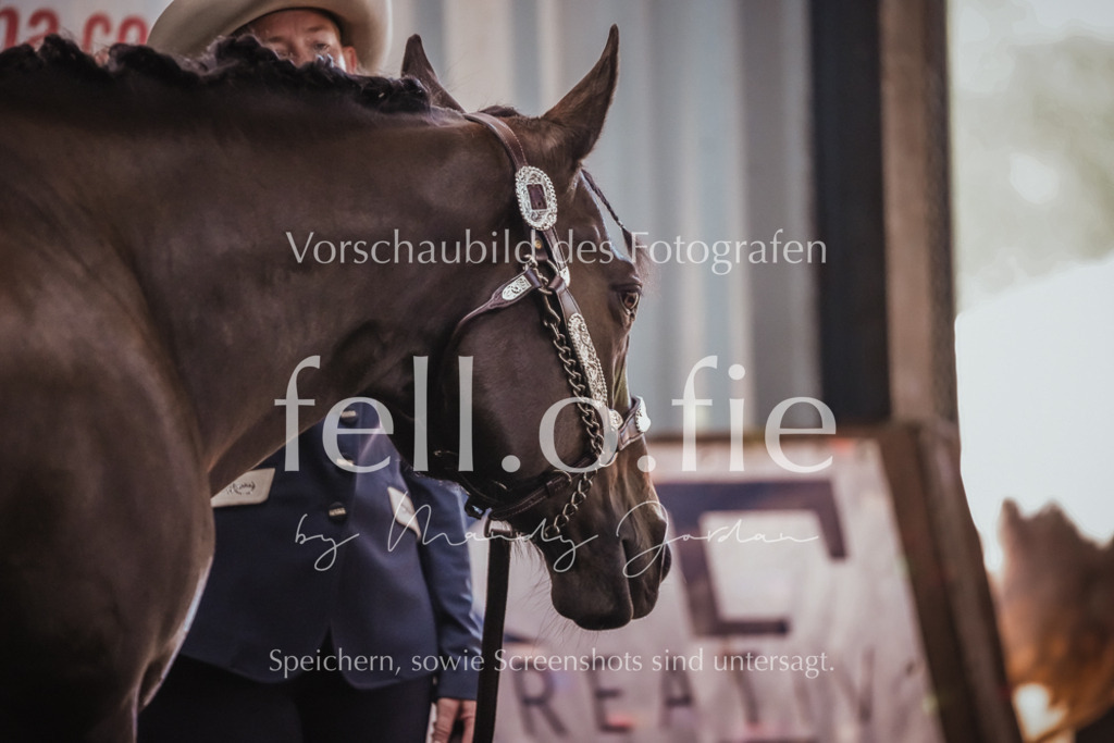 fell.o.fie_mandyjordan_2024_06_09832 | Mandy Klecke Fellfotografie, fell.o.fie Fotografenshop - Realisiert mit Pictrs.com