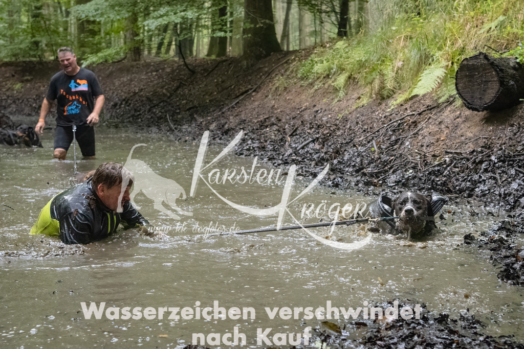 0958_ZZ91678-Bearbeitet | kk-dogfotos