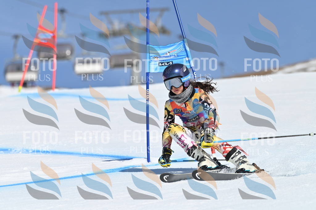 BGV_8982 | holidayphoto