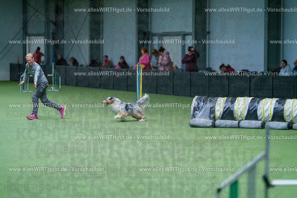 @allesWIRTHgut_Tierfotografie - www.allesWIRTHgut.de - 2604251047-7R500177 | Professionelle Tierfotografie in Mönchengladbach von Daniel Wirth (allesWIRTHgut). Liebevolle & natürliche Bilder von Hunden & Katzen für unvergessliche Erinnerungen.