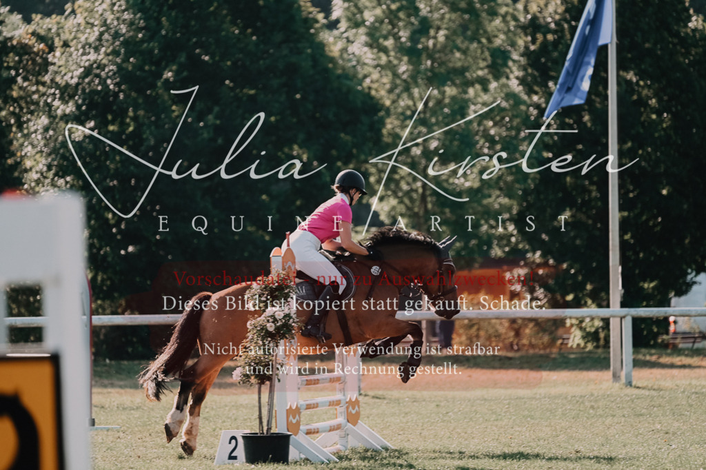 DSC_4572 | Pferde- und Turnierfotografie in Westsachsen. Pferdeportraits, Auftragszeichnungen und intuitive Kunst.
