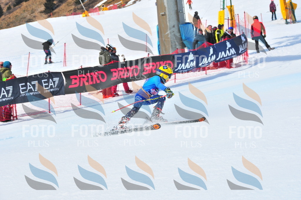 DSC_6980 | holidayphoto