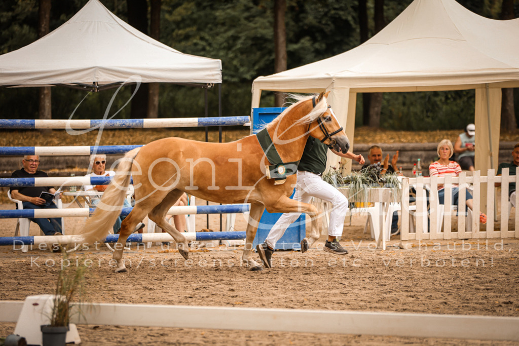 06.So00163 | Leoni Ertmer Photography - Realisiert mit Pictrs.com