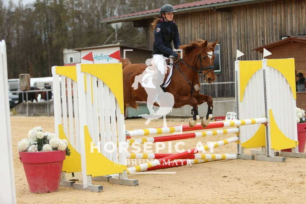 DL2Q1664 | Willkommen bei Brunnmayr - Design & Fotografie – Ihrem Spezialisten für Reitturniere und Pferdeveranstaltungen in Oberösterreich, Salzburg und Bayern! Seit über 17 Jahren sind wir leidenschaftlich dabei.