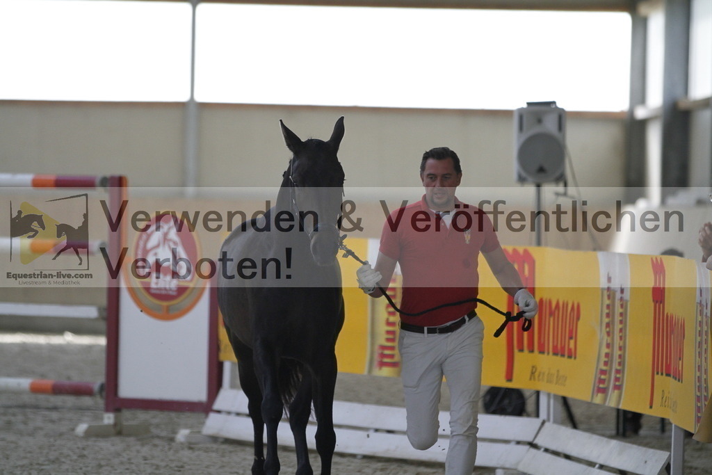 _MG_0124 | equestrian-live-com