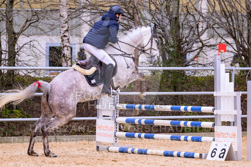 10042026-Mammendorf-Prfg16-0193 | Fokus Hufschlag Fotografie - Realisiert mit Pictrs.com