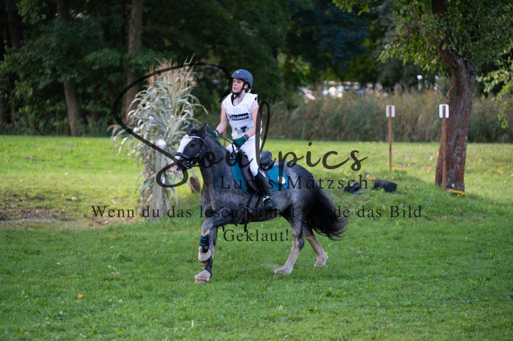 A7V03050 | Turnier/Reitfotograf