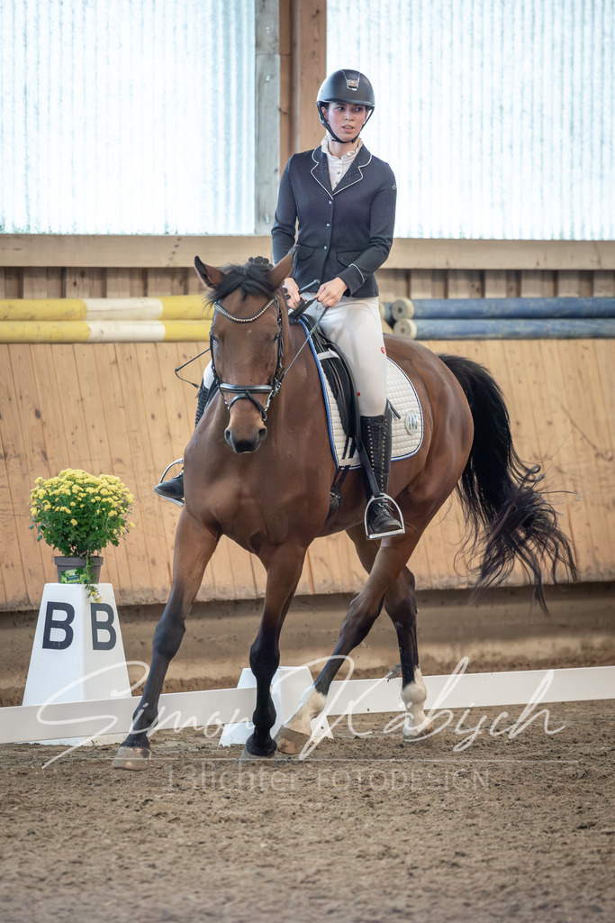 20251011-_3LI6157 | Tierfotografie Pferde, Hunde, Katzen, Haustiere.
Turnierfotografie Reitturniere, Reiten, Springreiten, Dressur in Hanau, dem Main-Kinzig-Kreis und dem Rhein-Main- Gebiet um Frankfurt