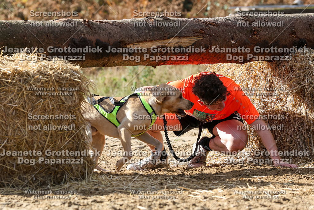 Dog Paparazzi - Strongdog 10-25-5384 | Dog Paparazzi Jeanette Grottendiek Fotografie & Videografie - Realisiert mit Pictrs.com